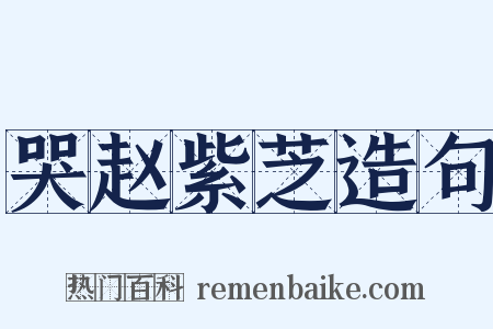 哭赵紫芝造句是什么意思的图片
